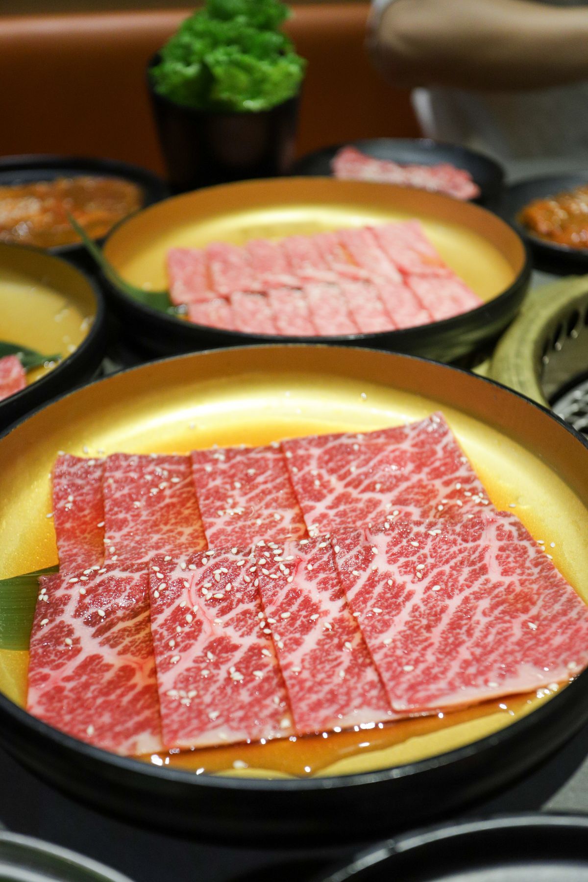 ふるさと納税の肉・肉加工品返礼品イメージ|和牛