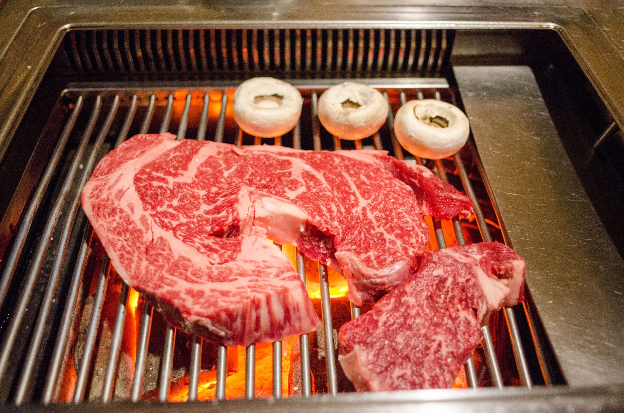 ふるさと納税の返礼品の国産牛・お肉(年収1,000万円)