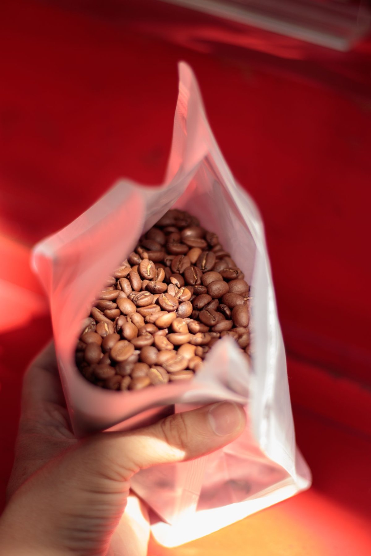 コーヒー豆を手に取るギフトのイメージ