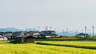 ふるさと納税おすすめ米・パン10選｜コシヒカリ・無洗米・人気パン店を比較