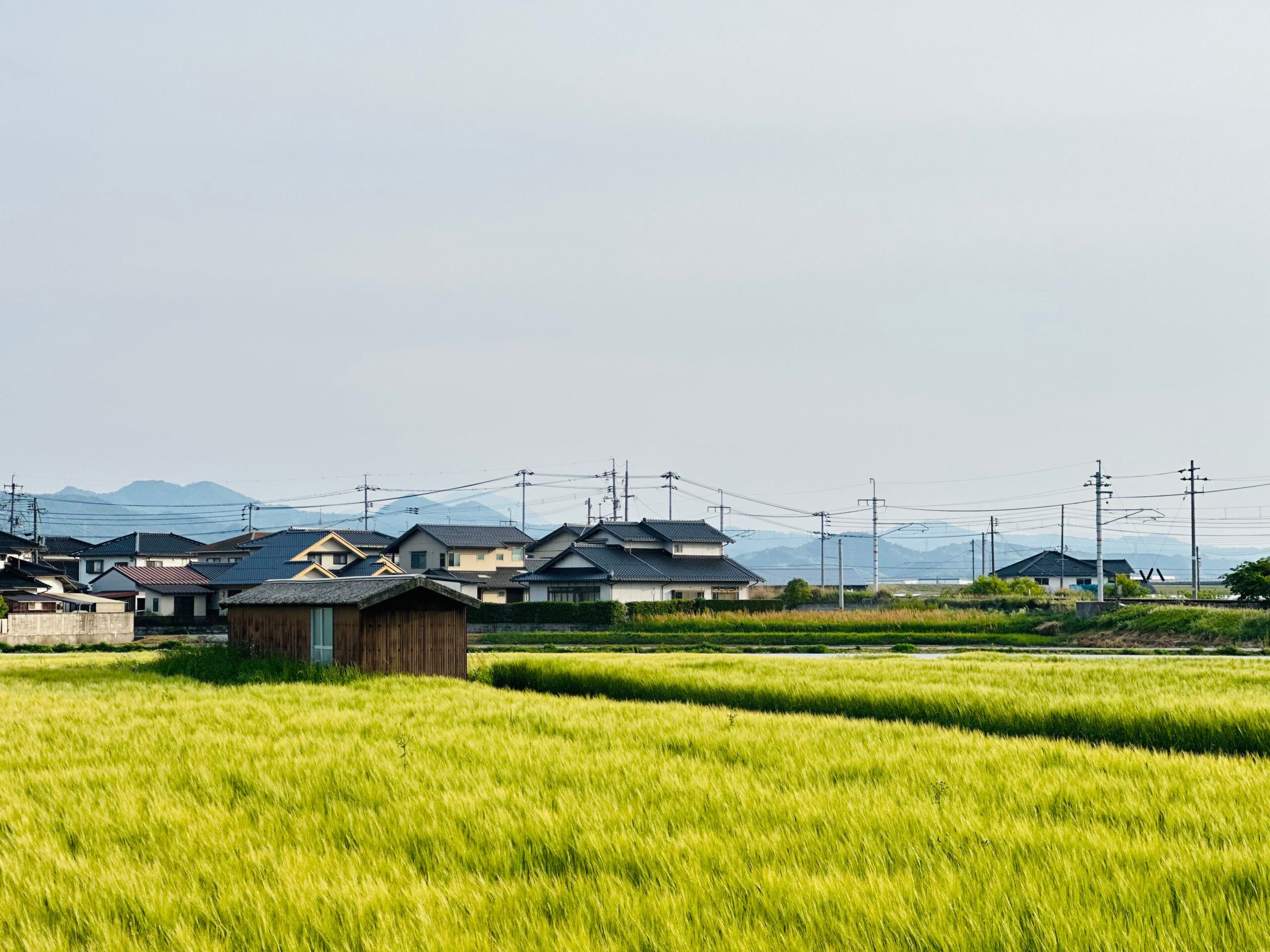 熊本県の農村風景と農産物のイメージ